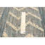 Tapis unique en laine 6 pi 1 po x 9 pi 4 po Delaura
