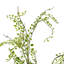 Leaves Spray