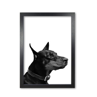 Dog - Print