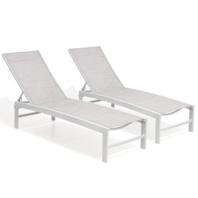 22" Patio Chaise Lounge Set