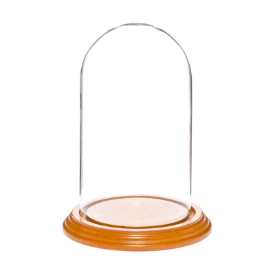 Jenett 4" x 7" Glass Display Dome Cloche