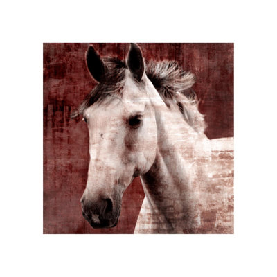 Aristotle IV Print by Leftbank Art