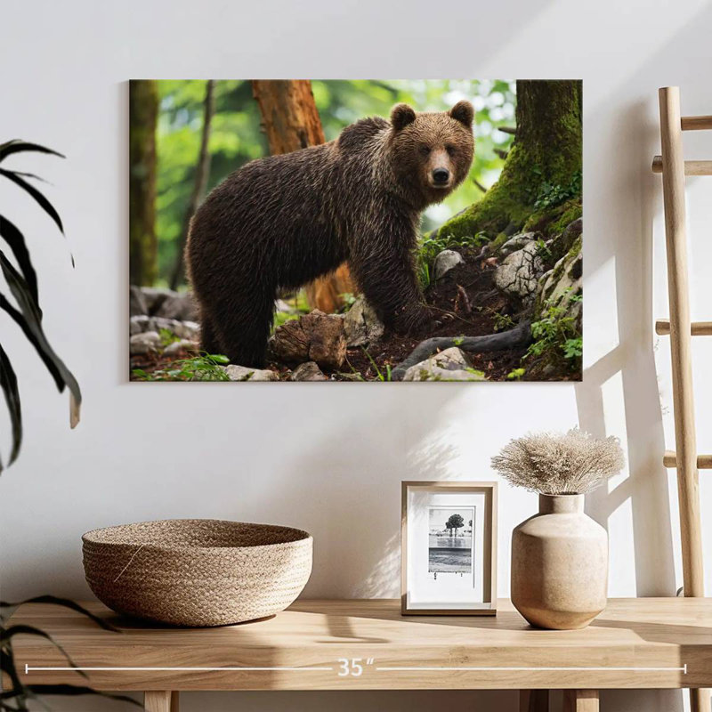 Ours grizzly humide Brampt