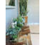Faux Succulent