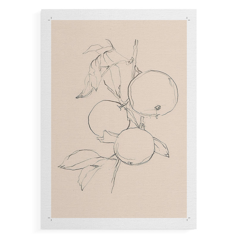 Fruit Contour Study I -Canvas Print Only - NOT FRAMED, 18" H x 12" W