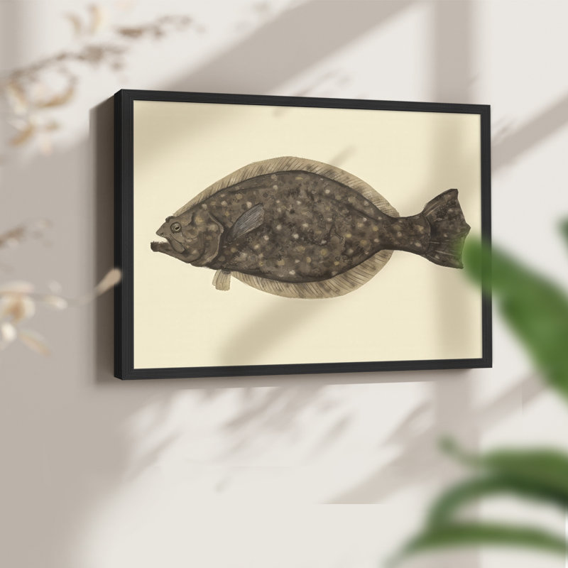 «Saltwater Species IV», reproduction encadrée, H 8 po x l 10 po, Noir, noir, noir, noir
