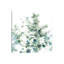 Eucalyptus I Cool - Wrapped Canvas Painting-817056916