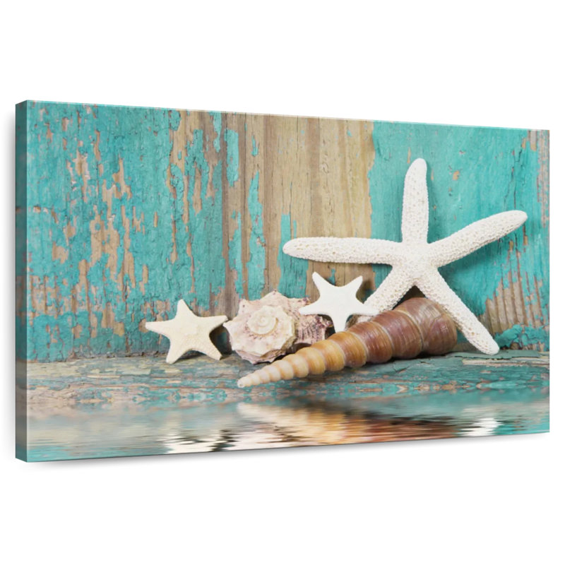 Aletra Seashell Treasures, H 26 po x l 39 po