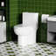 Toilette 1,28, économie d'eau, blanc brillant 003, siège confortable, siège attrayant, fermeture en douceur