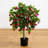 Silk Fuchsia Tree