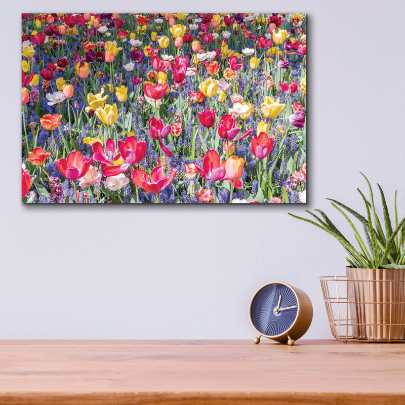 "Tulipes Kuekenhaus II" par Richard Silver, H 12 po x l 16 po x P 0,13 po
