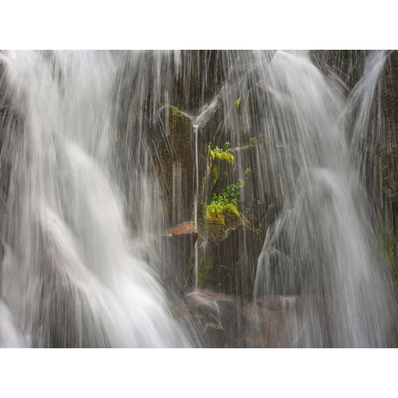 Paradise Falls 1 Print by Bruce Heinemann, Black Framed Paper, 25.2" H x 31.2" W