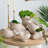 Sand And Cement Nautilus Shell Planter With Textured Beige Finish-119134714