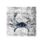 Del Mar IV Print-26934186-26934190