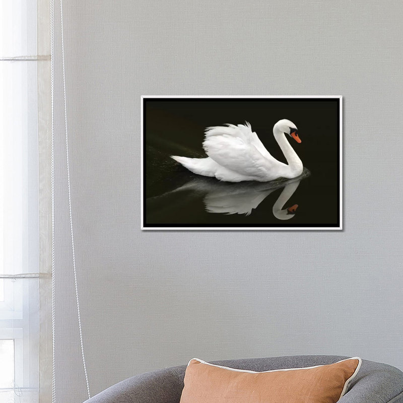 « Swan » par Ben Heine-reproduction de photo, H 18 po x l 26 po x P 1,5 po, Toile blanche encadrée, Pas de tapis