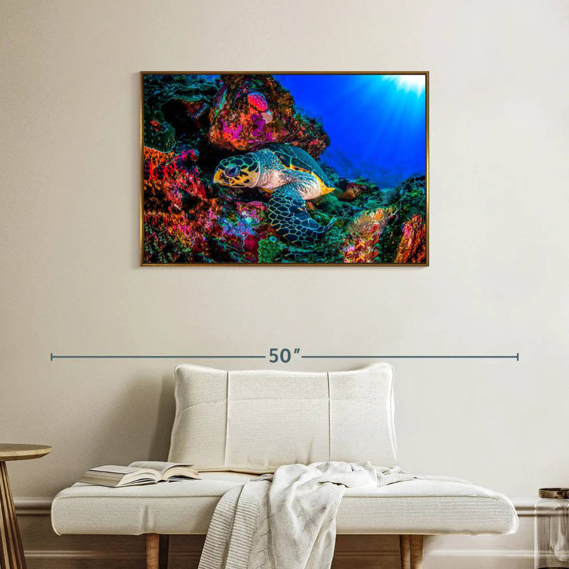 Tortue océan monde, Cadre flottant doré, 37 po x 25 po