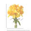 Arrangement floral jonquille-46159785