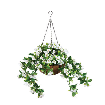 White Bougainvillea Hanging Planter