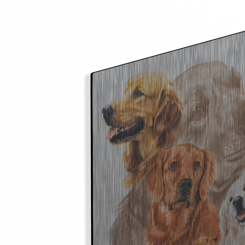 «Golden Retriever With Ghost Image» par Barbara Keith, H 24 po x l 16 po