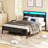 Bed Frame with Headboard, Metal Platform bed with LED Lights, Power Outlets & Under-Bed Storage-796309728