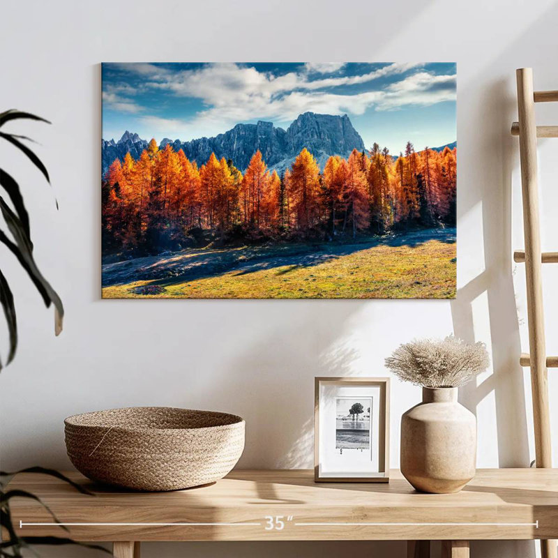 Mélèze d'automne Alvord, H 16 po x l 24 po