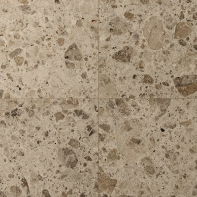 Carrelage de sol et de mur en porcelaine mate 23,54 po x 23,54 po Stonehenge (11,62 pieds carrés / caisse)