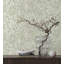 Aslan Marble Wallpaper Double Roll by Ronald Redding-441980047