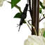 Arche de mariage 90,55 "Wisteria