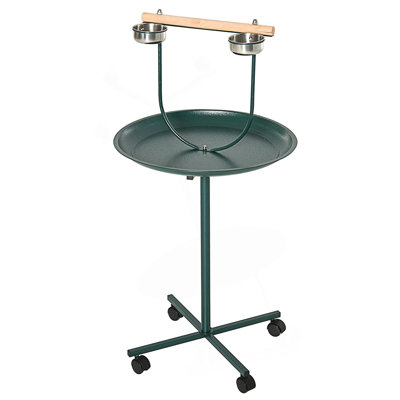 Bird Training Activity Playground With