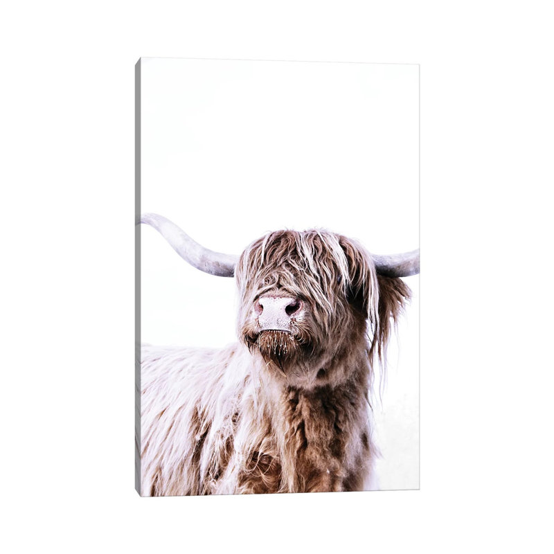 Highland Cattle Frida by Monika Strigel - Print on Canvas, Wrapped Canvas, 30.48 cm H x 45.72 cm W