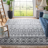 Berber Fringe Shag Performance Southwestern Rug