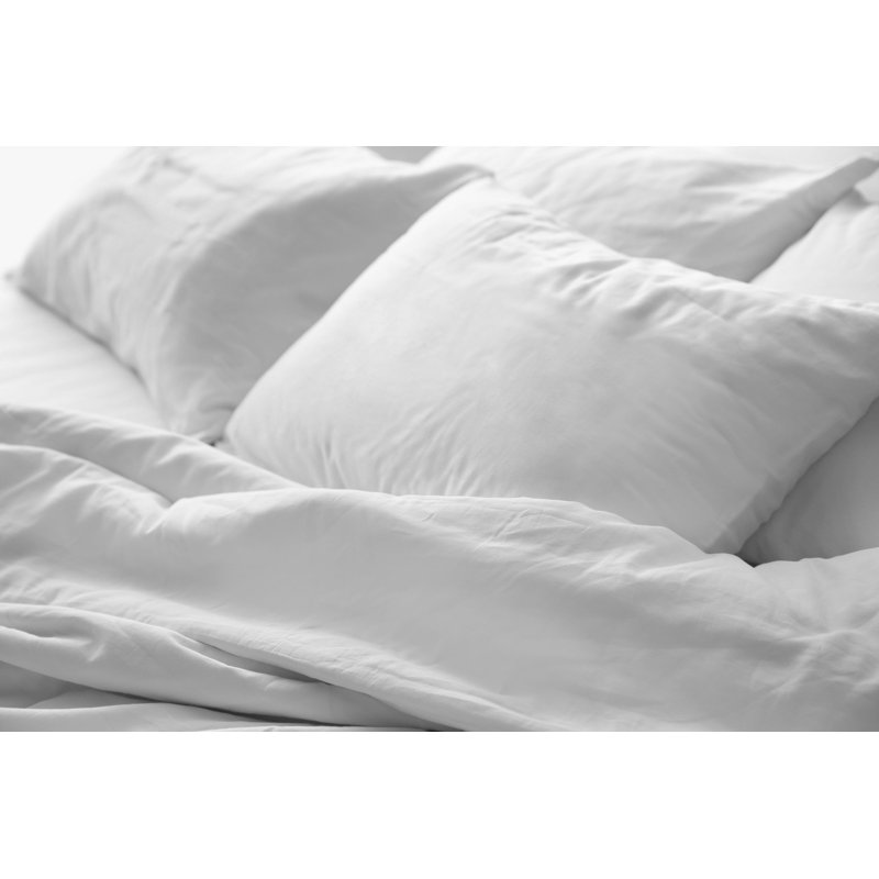 Coussin Lutton, Standard
