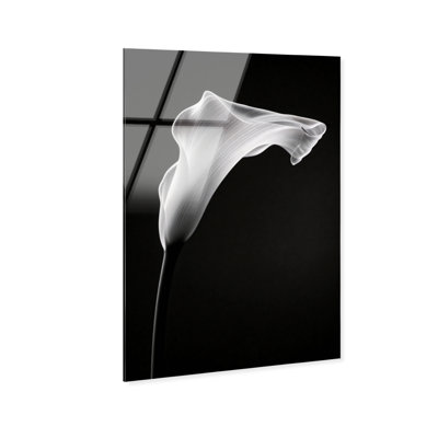 Calla Lily II by Oliver Gal