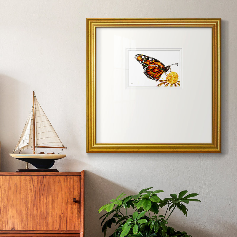 " Wings I ", 17" H x 17" W, Gold Framed Paper