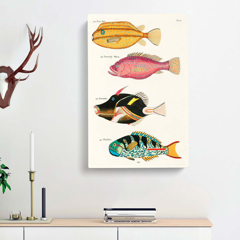 East Indies Fish Illustrations Fol. 28 by George Shaw - Wrapped Canvas, 50cm H x 35cm W x 3cm D
