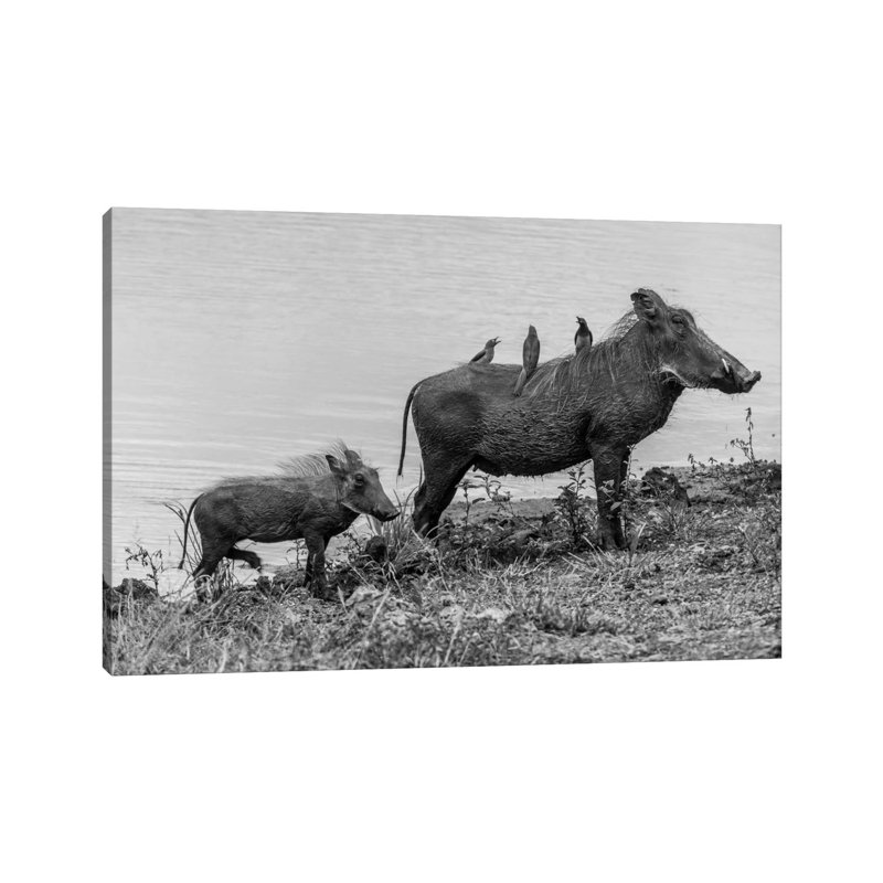 The Family by Anders Jorulf - Wrapped Canvas Print, 20.32 cm H x 30.48 cm W