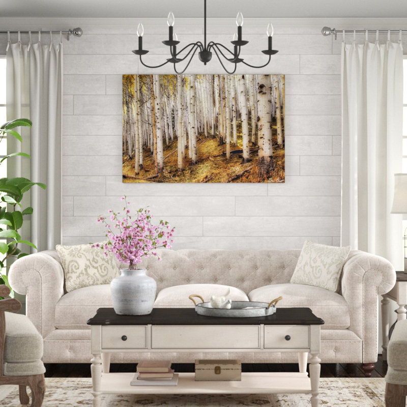 'Aspen Woods' by David Drost - Photographic Print, 81cm H x 122cm W, Black Floater Framed