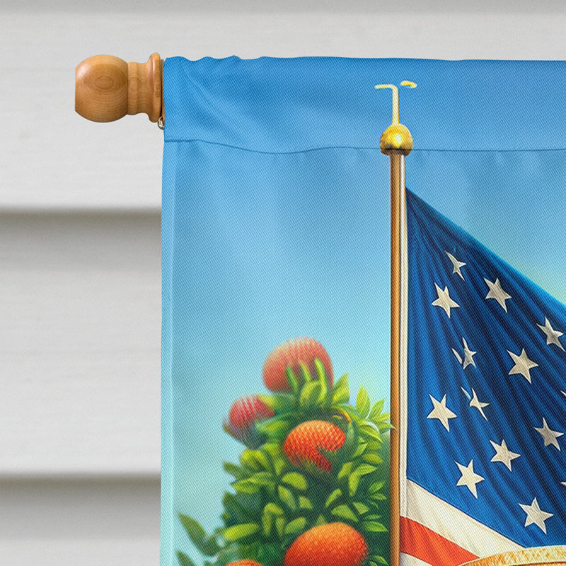 Drapeau «All American House», Chow-chow
