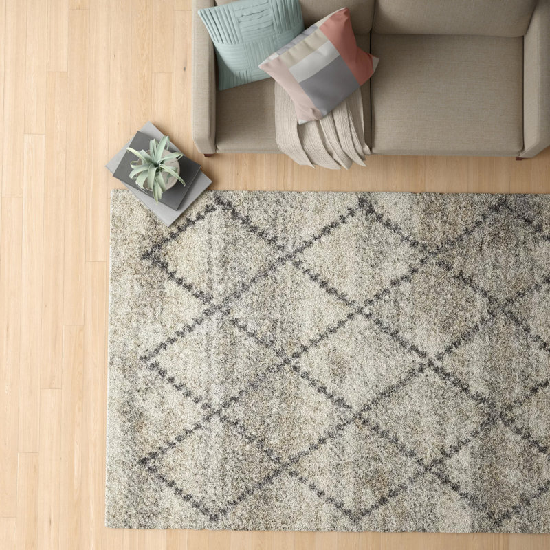 Ileyah Geometric Indoor Rug, Rectangle 4' x 6'