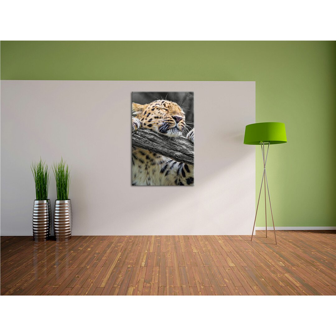 Leinwandbild Verspielter kleiner Leopard