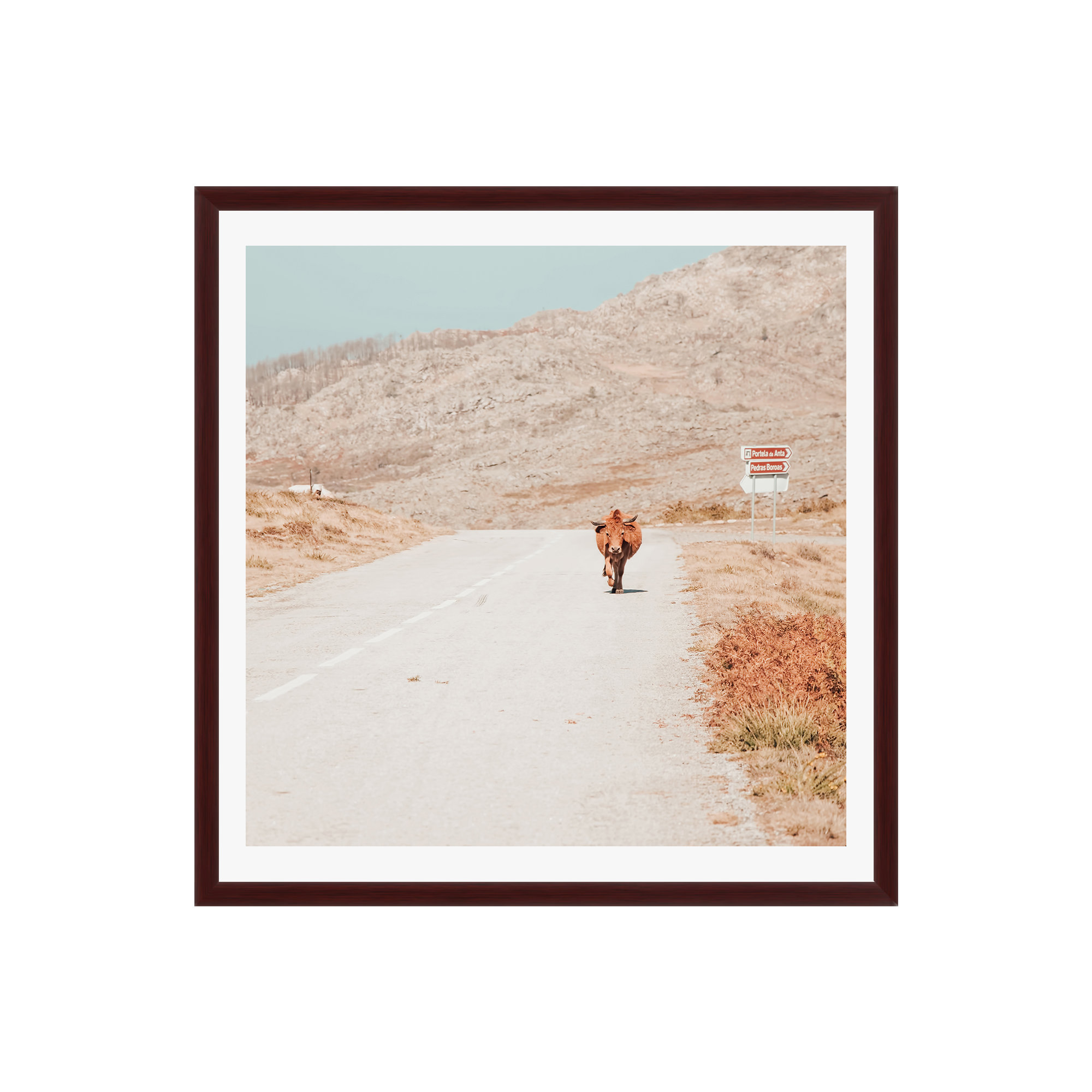 On The Road I by Ingrid Beddoes, Mahogany Floater Framed, No, 36" H x 36" W x 2" D