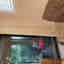 Customer photo 2 of 5