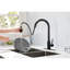Robinet de cuisine avec bec rétractable - Finition noir mat, acier inoxydable, buse rotative à 360 °, traitement contre la corrosion et la rouille, poignée simple pour un réglage pratique du débit d'eau noir, surface rotative-29931752