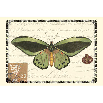 " Butterfly Prose II " by Vision Studio