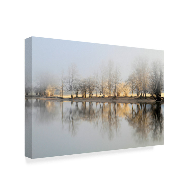 "Le matin de janvier" par Bor - reproduction de photo sur toile, H 22 po x l 32 po x P 2 po