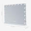 Vanity Rectangle Bluetooth LED Metal Mirror