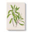 Ngaio Flowers by Sarah Featon - Wrapped Canvas Painting-55360632