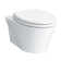 Dual-Flush Elongated Wall-Mounted with High Efficiency Flush
