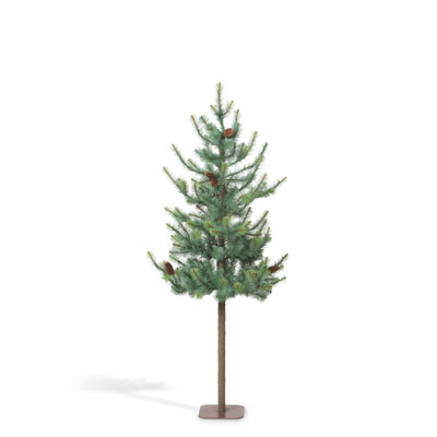 Arbre épinette bleu, 60 po