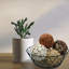 Schall Vase Filler